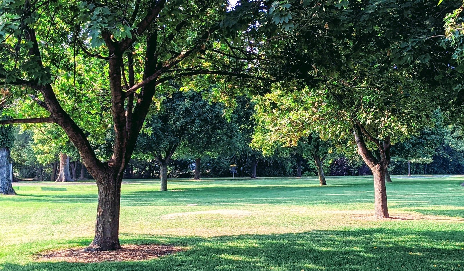Find the target at this Frisbee Golf Course